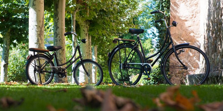 Fahrräder auf einer Waldlichtung